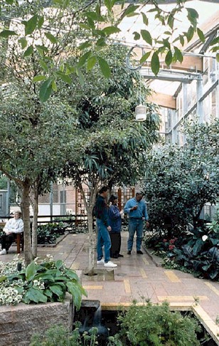 290-2.jpg