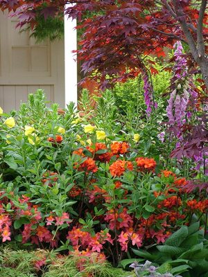 purple-red-flower.jpg